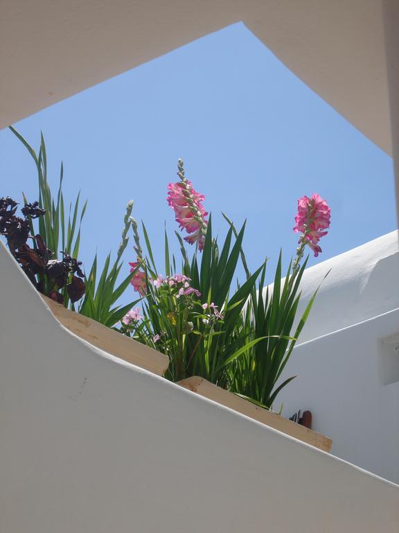 Hotel Philippi Mykonos Town Exterior foto
